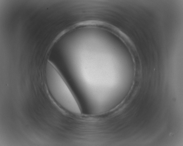 X0000083531329200702090710