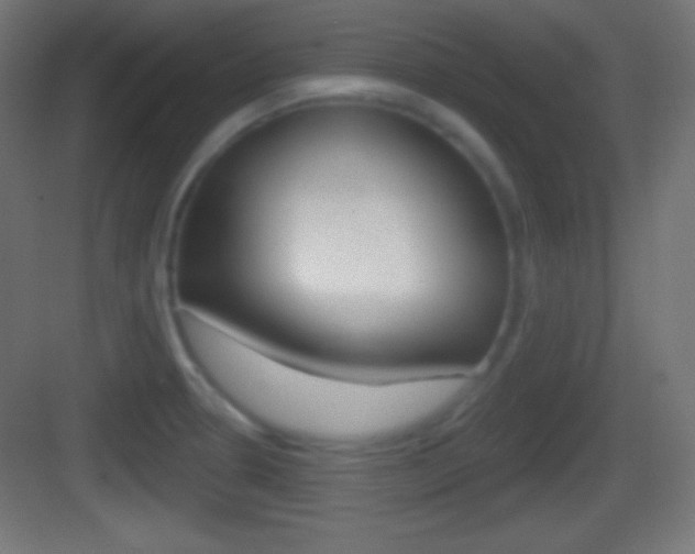 X0000083531330200702090710