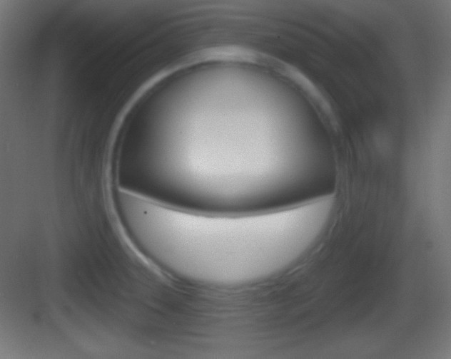 X0000083531331200702090710