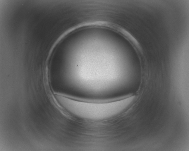 X0000083531332200702090710