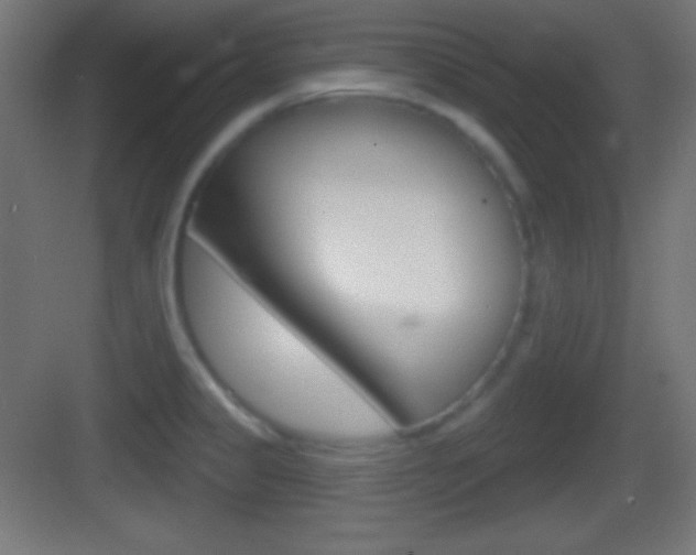 X0000083531333200702090710