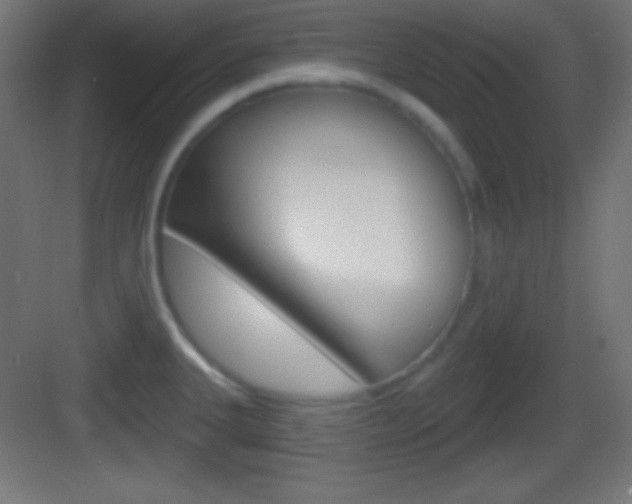 X0000083531335200702090710