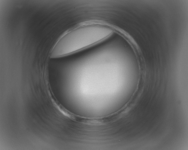 X0000083531337200702090710