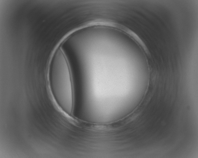 X0000083531339200702090710