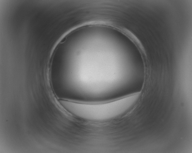 X0000083531340200702090710