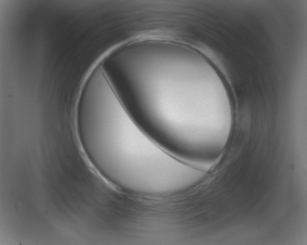 X0000083531341200702090710