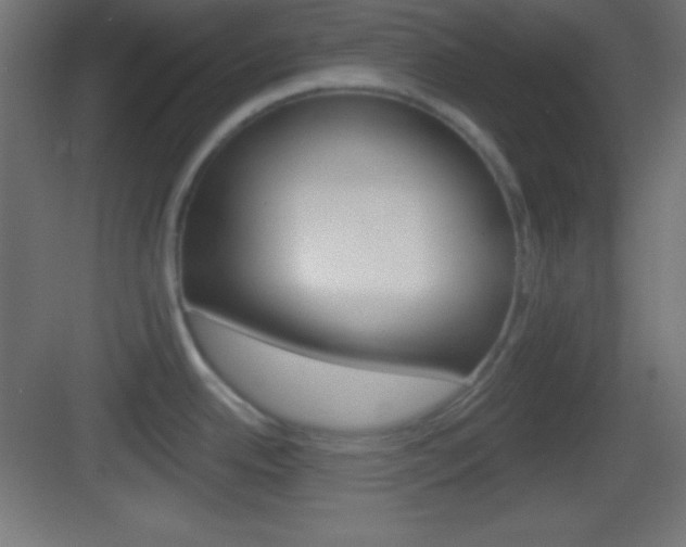 X0000083531342200702090710
