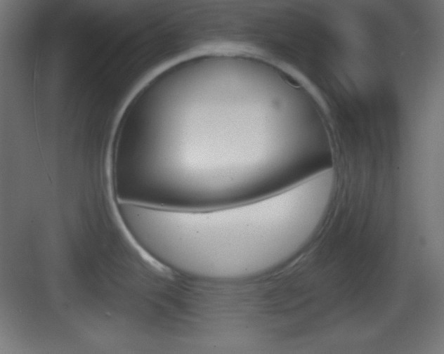 X0000083531343200702090710