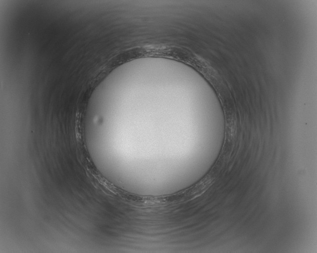 X0000083531346200702090709