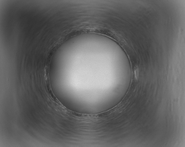 X0000083531347200702090709