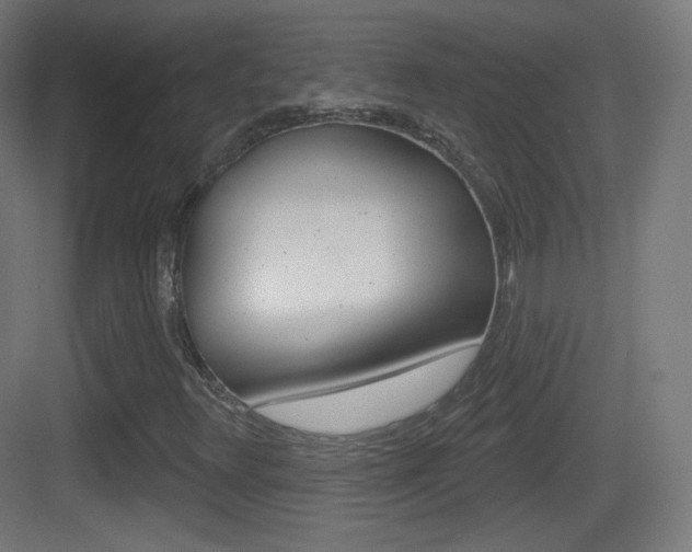 X0000083531348200702090709