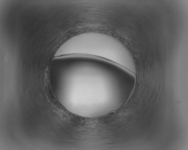 X0000083531349200702090709