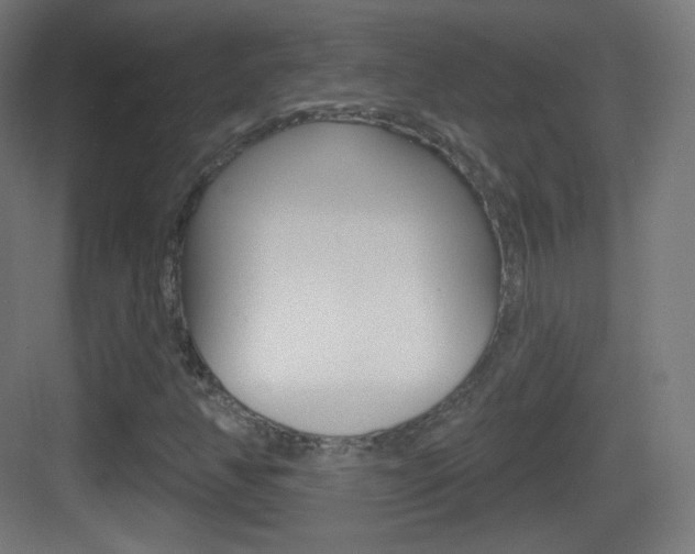 X0000083531350200702090709