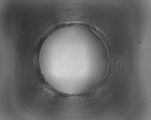 X0000083531351200702090709