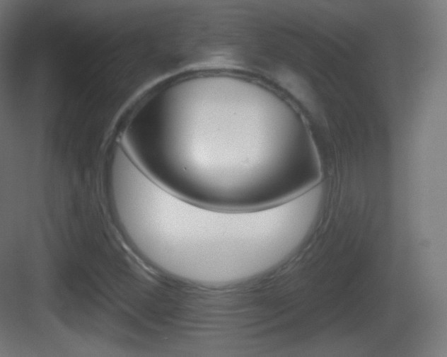 X0000083531356200702090709