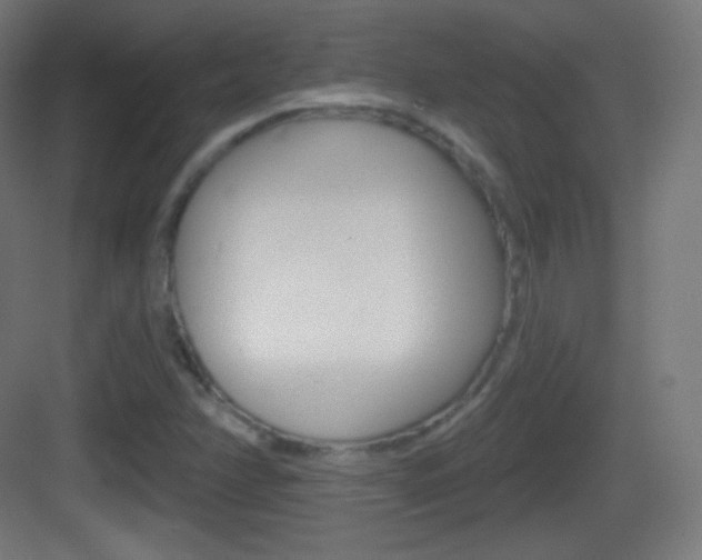 X0000083531358200702090709