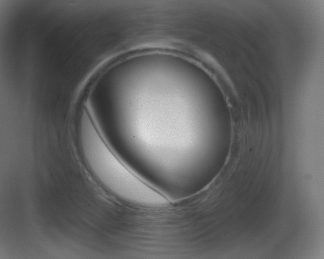 X0000083531360200702090709