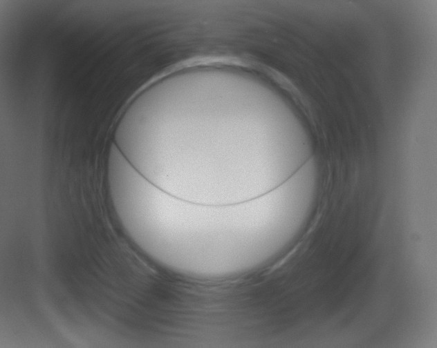 X0000083531361200702090709