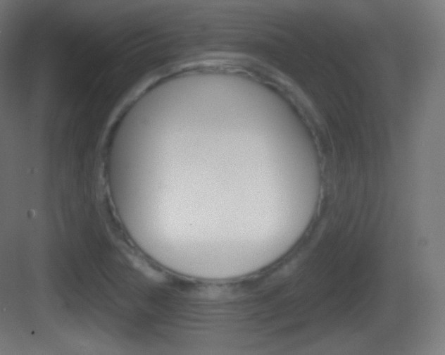 X0000083531362200702090709