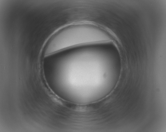 X0000083531364200702090709