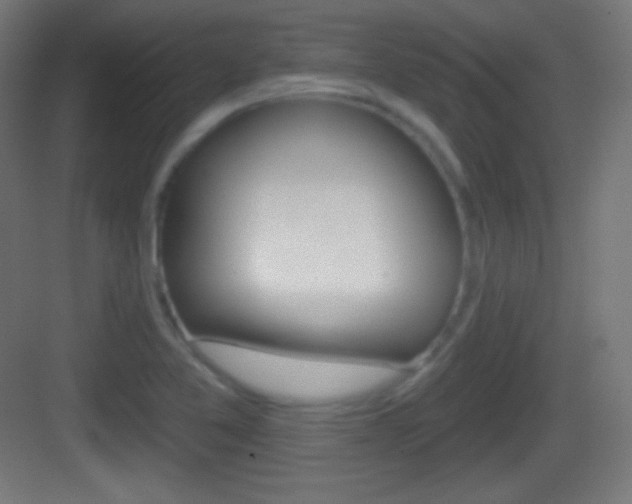 X0000083531365200702090709