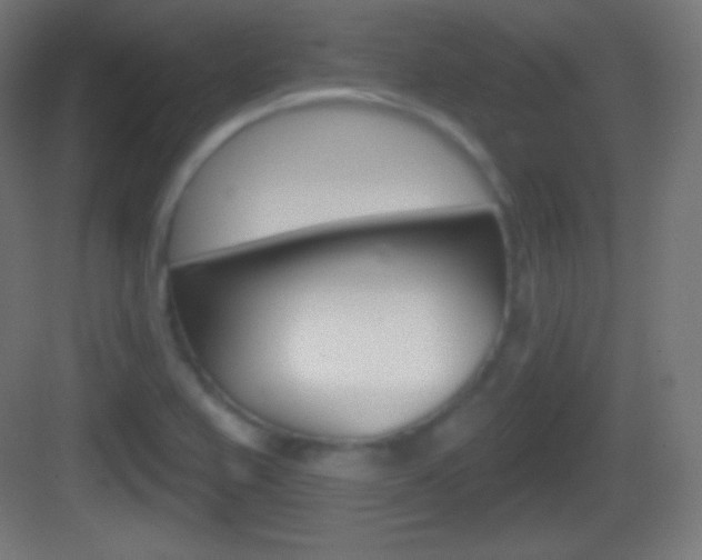 X0000083531367200702090709