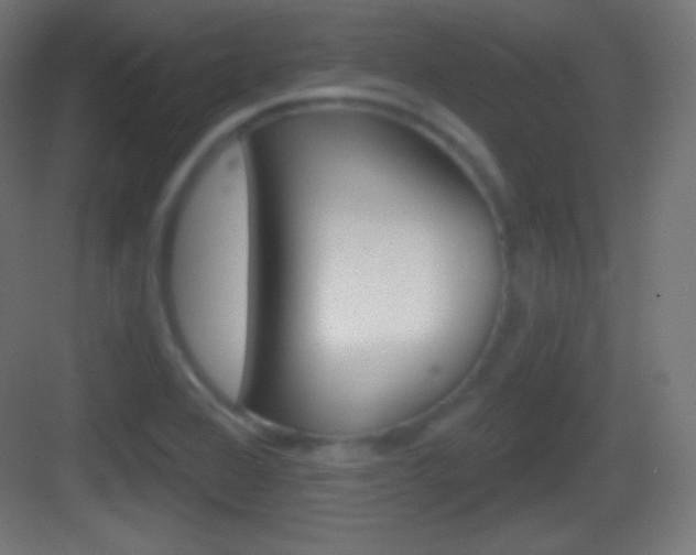 X0000083531368200702090709