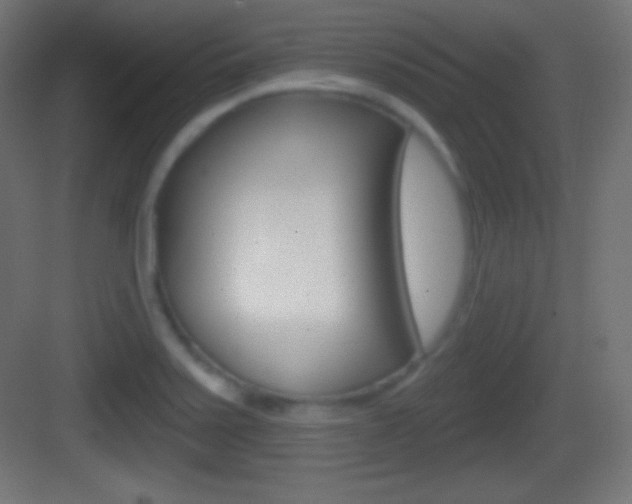X0000083531371200702090709