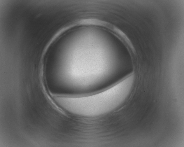 X0000083531376200702090709