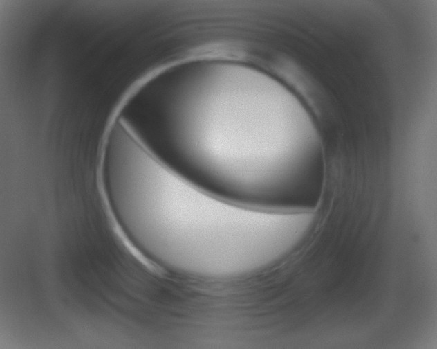 X0000083531379200702090709
