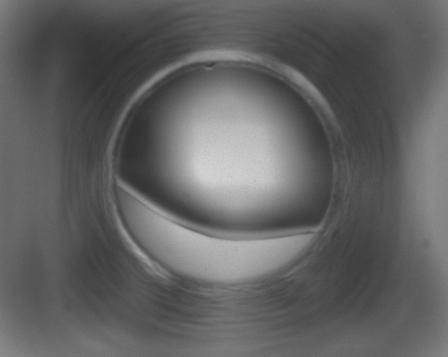 X0000083531380200702090709