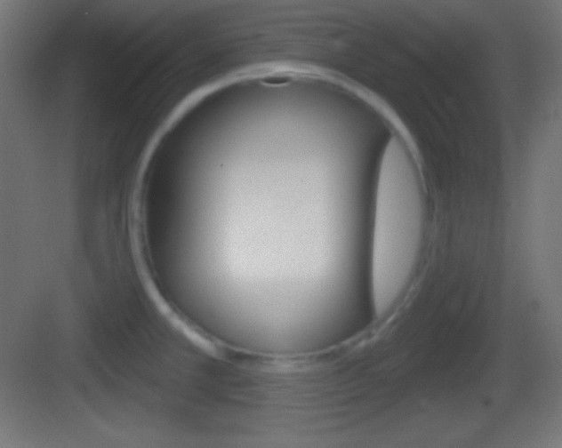 X0000083531381200702090709