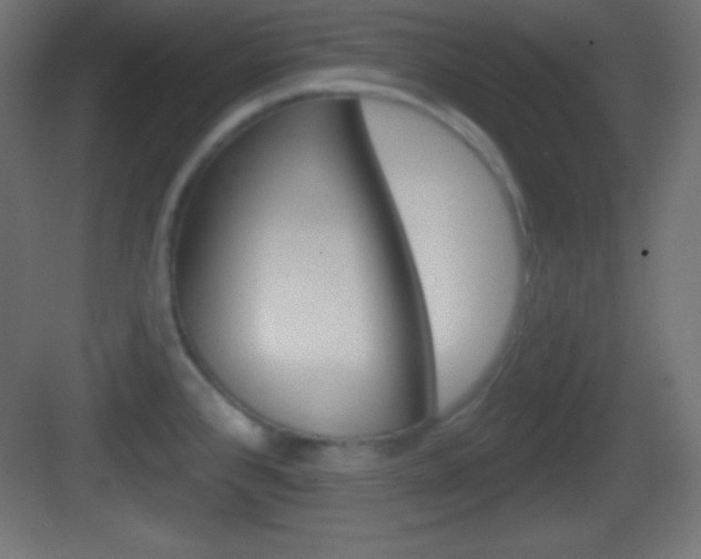 X0000083531384200702090709