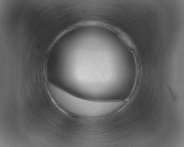 X0000083531385200702090709
