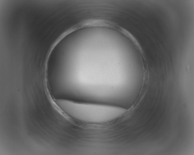 X0000083531386200702090709