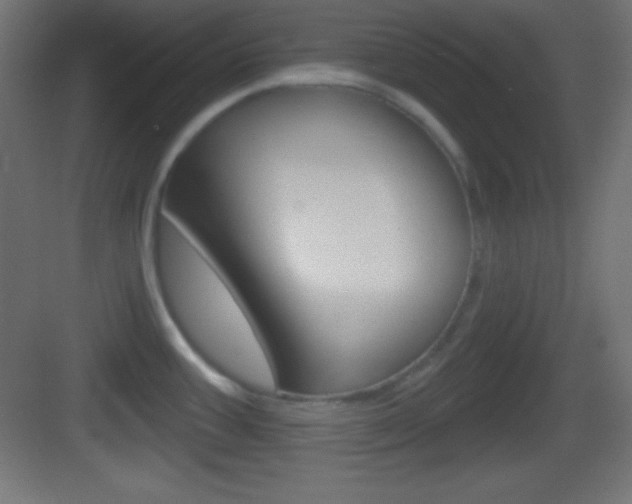 X0000083531387200702090709