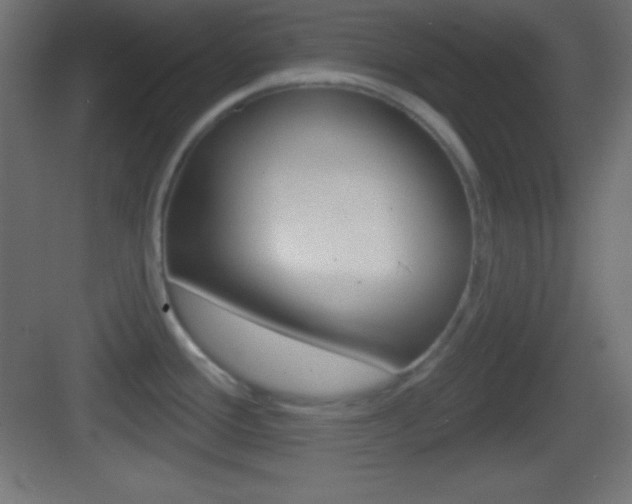 X0000083531388200702090709