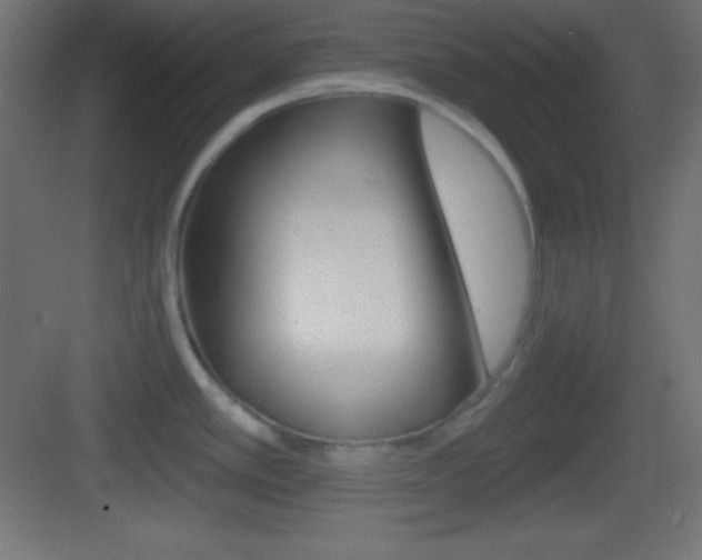 X0000083531389200702090709