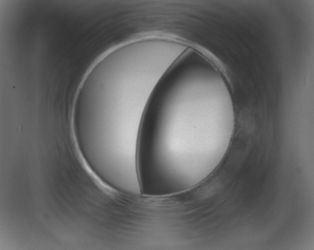 X0000083531391200702090708