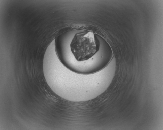 X0000083531394200702090708