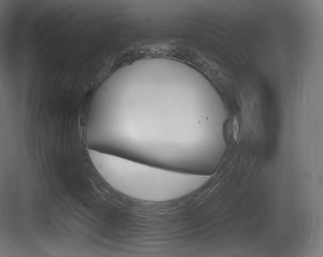 X0000083531395200702090708