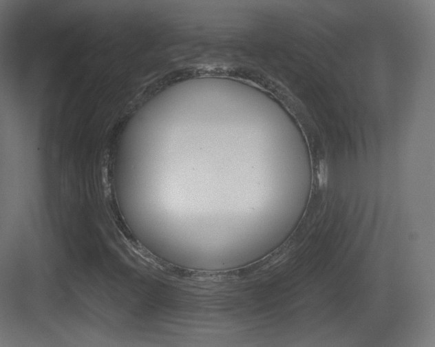 X0000083531396200702090708