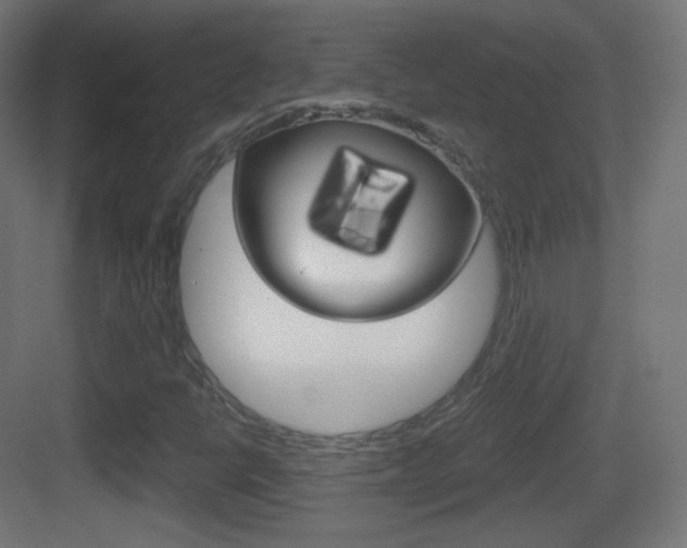 X0000083531398200702090708