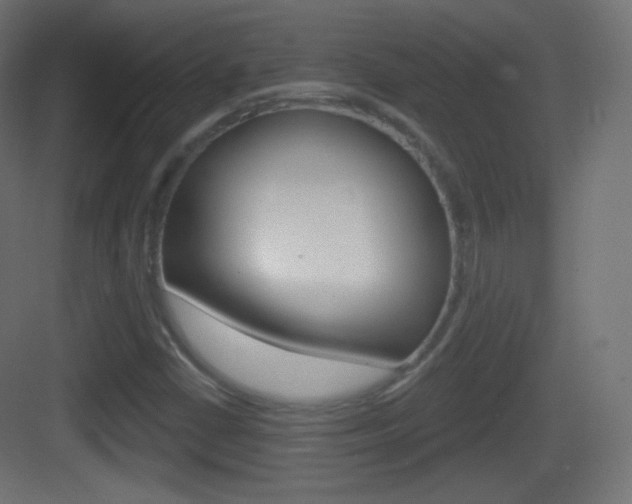 X0000083531402200702090708