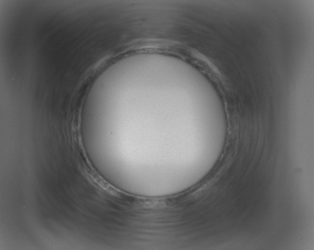 X0000083531403200702090708