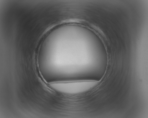 X0000083531404200702090708