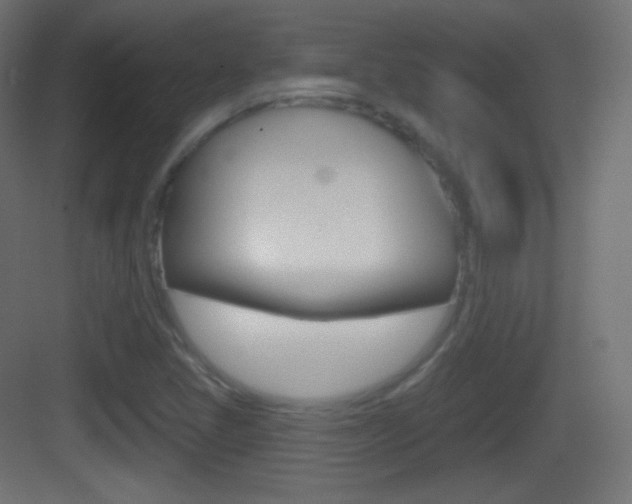 X0000083531405200702090708