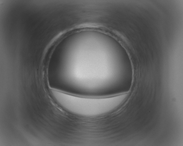 X0000083531406200702090708