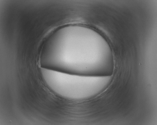 X0000083531407200702090708