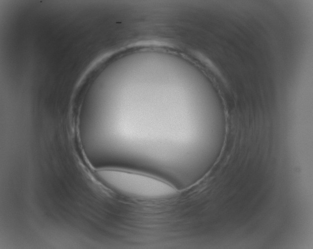 X0000083531408200702090708